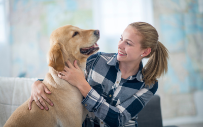 How to Use Talking Buttons to Communicate with Your Pet